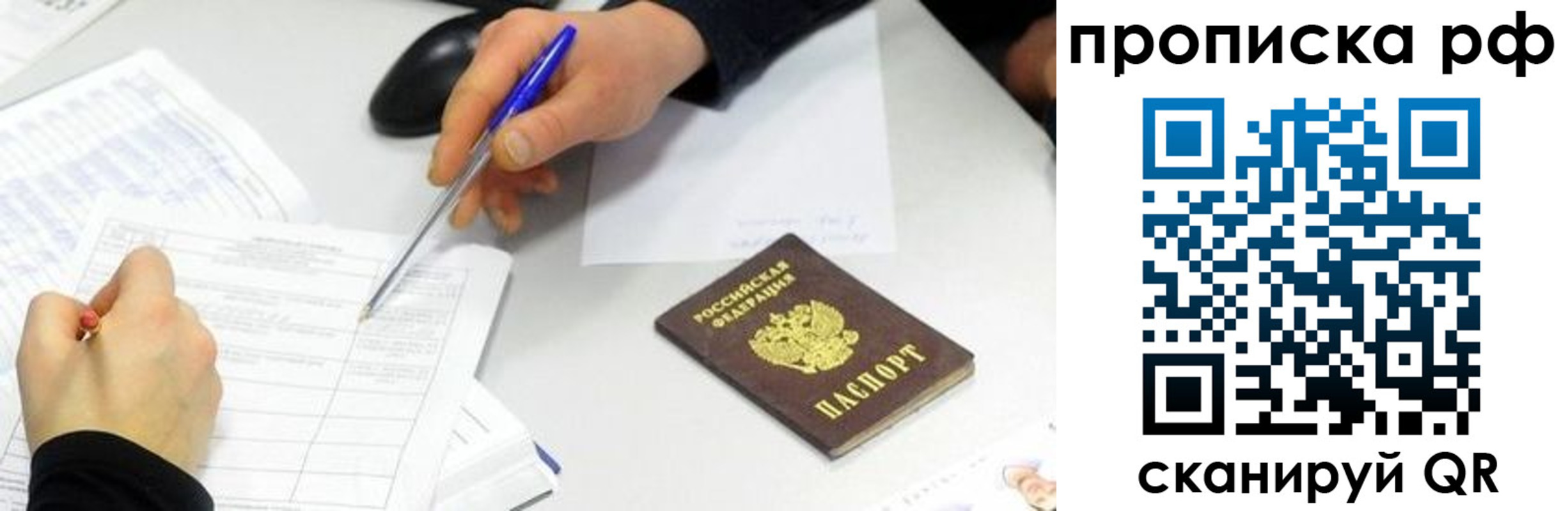 прописка штамп в Гвардейске